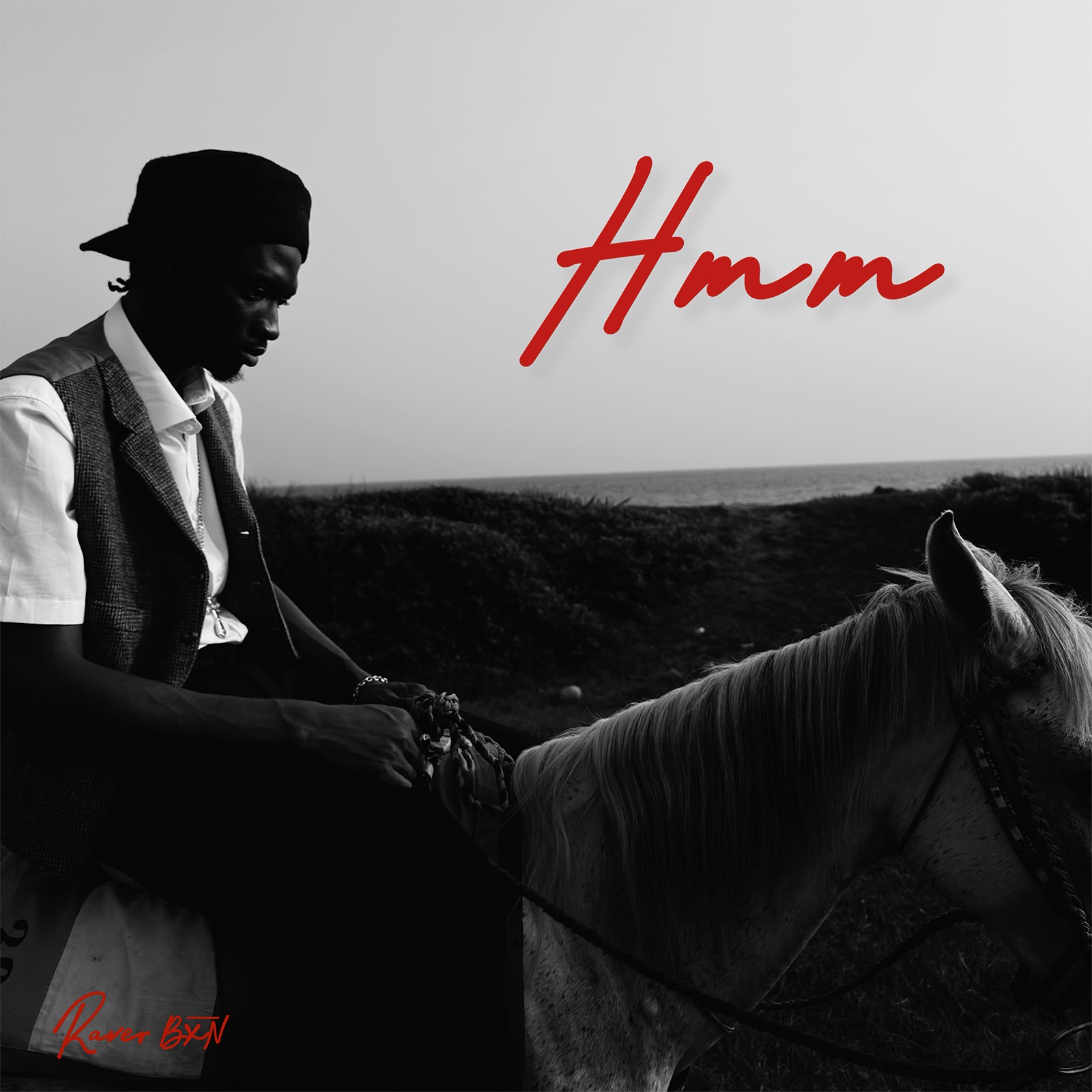 Raver BXN<br><h6 style='color:#adb5bd;'>Hmmm</h6>